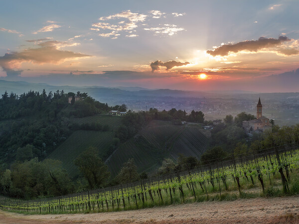Immagine Savignano sul Panaro